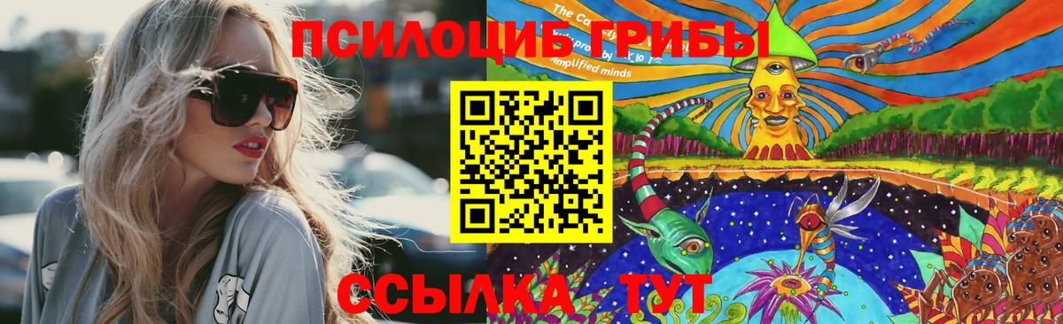 Галлюциногенные грибы Psilocybe  Вход с VPN  Галлюциногенные грибы MAGIC MUSHROOMS  Дербент 
