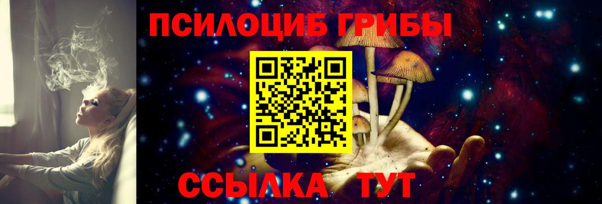 Галлюциногенные грибы прущие грибы Дербент